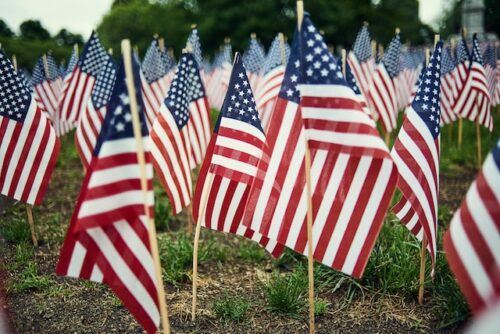american flags in ground